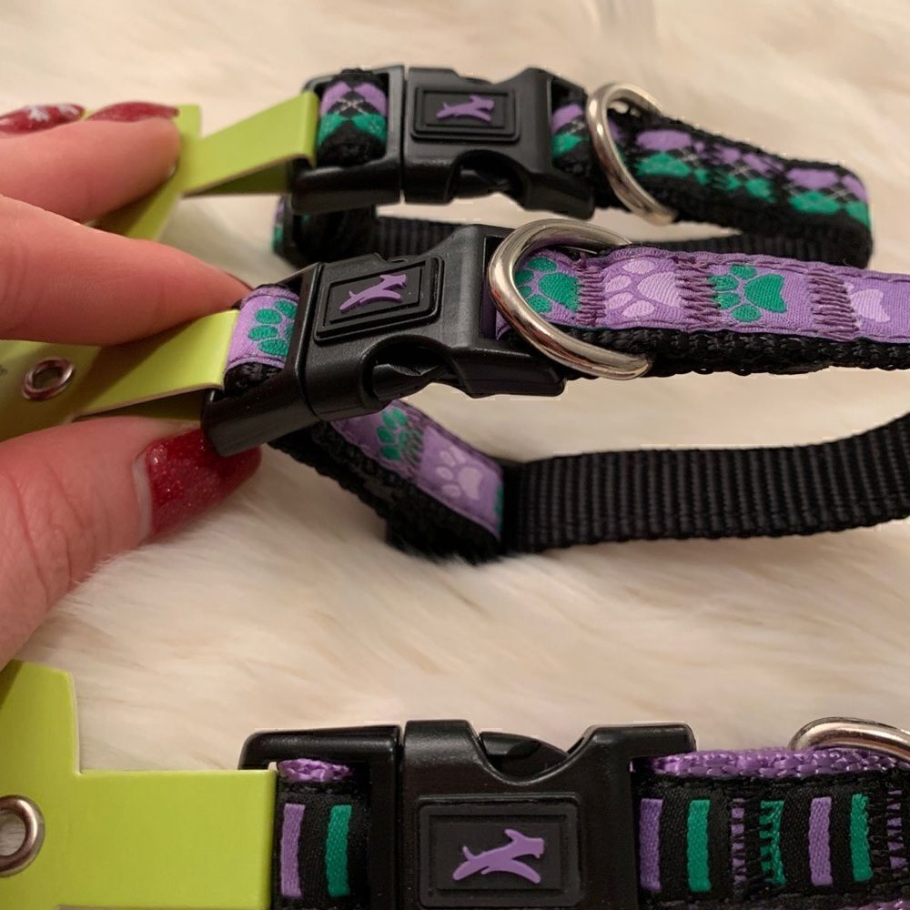 Purple jump Nylon Clip Dog Collar